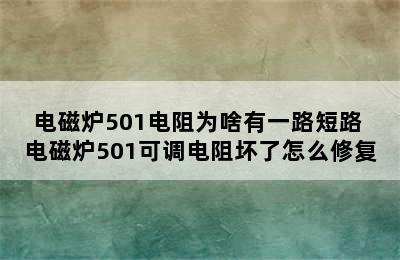 电磁炉501电阻为啥有一路短路 电磁炉501可调电阻坏了怎么修复